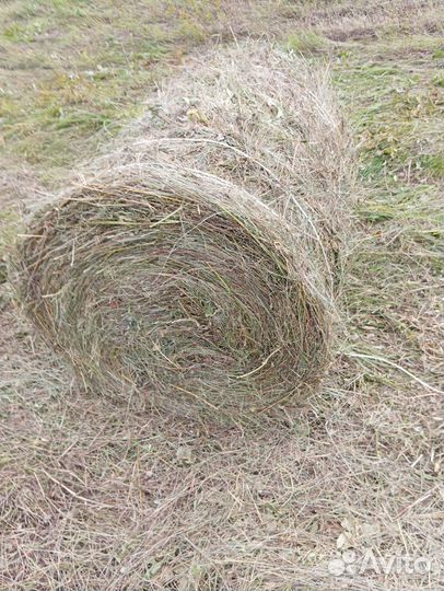 Сено в мини рулонах