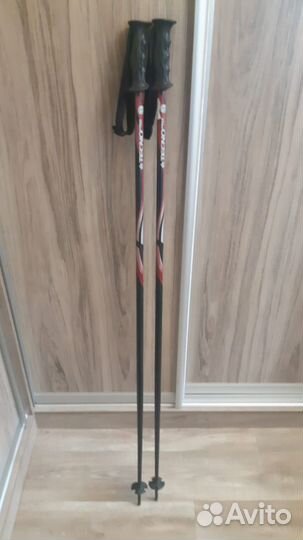 Горные лыжи