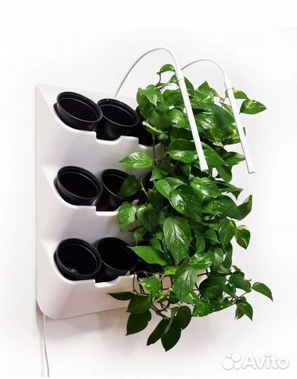 Фитомодуль boxsand 12 с фитолампой