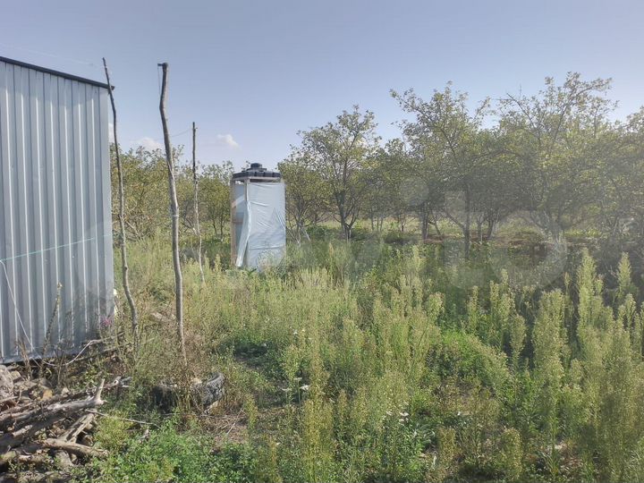 Участок 1,25 га (СНТ, ДНП)