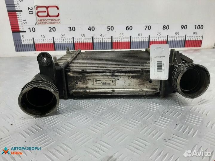 Интеркулер Volkswagen Phaeton 2008 3D0145788