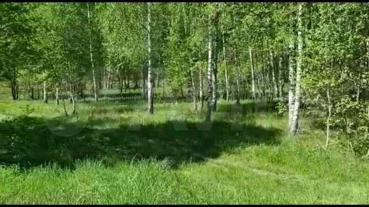 Участок 15 сот. (ИЖС)