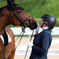 Лошадь выездка