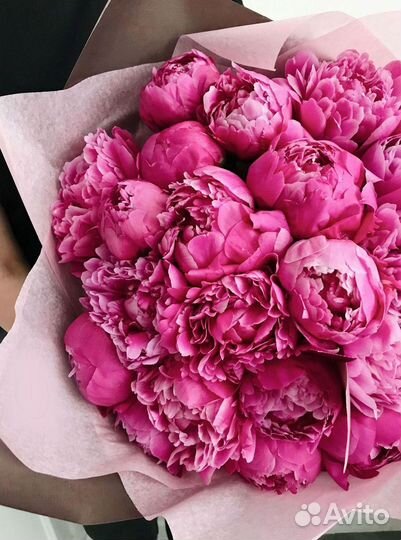 Пионы Букет пионов