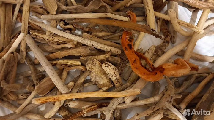 Дрифтвуд разнообразные палочки и коряжки
