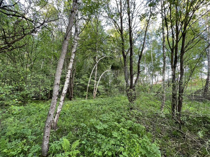 Участок 8,5 сот. (ИЖС)