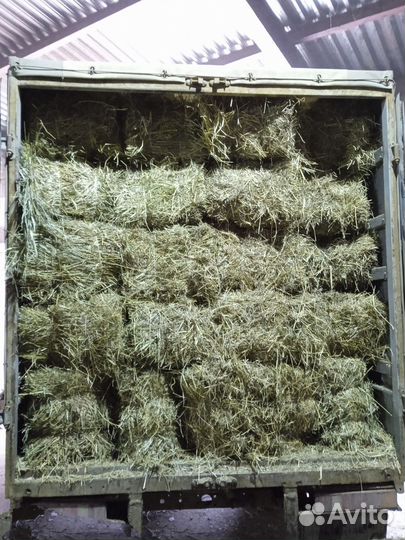 Сено в кипах, труха в мешках, подстилочное сено