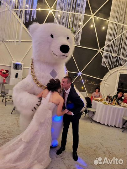 Белый мишка, бурый, панда, зайка