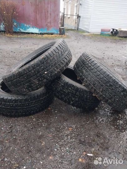 Dunlop All Season Maxx AS1