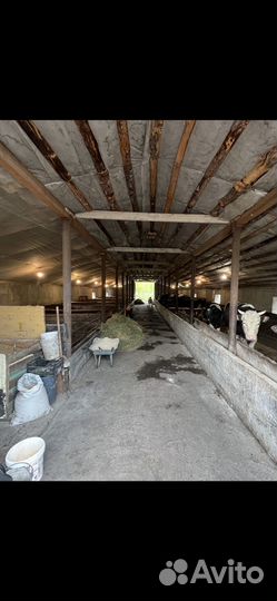 Ферма готовый бизнес