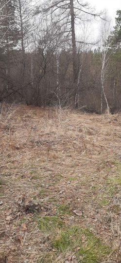 Участок 10 сот. (СНТ, ДНП)