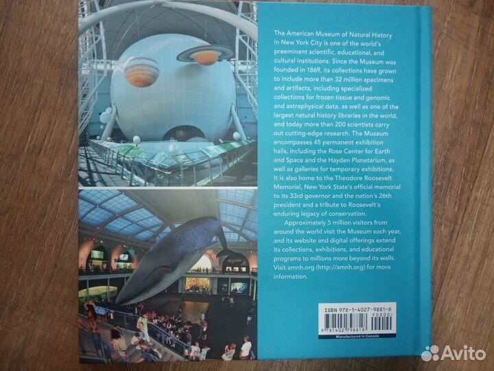 American Museum of Natural History