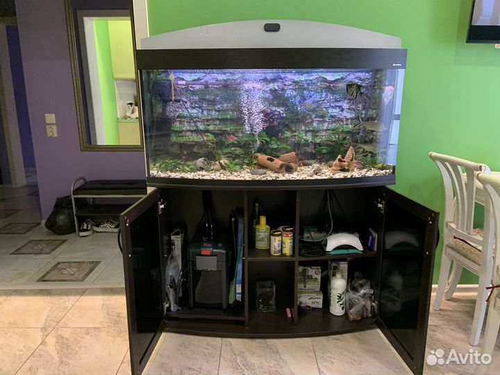Аквариум вместе с рыбами AquaPlus
