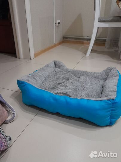 Диван для собак