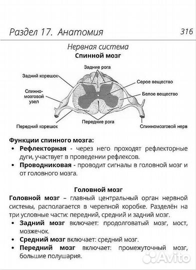 ЕГЭ по Биологии. Карманный справочник