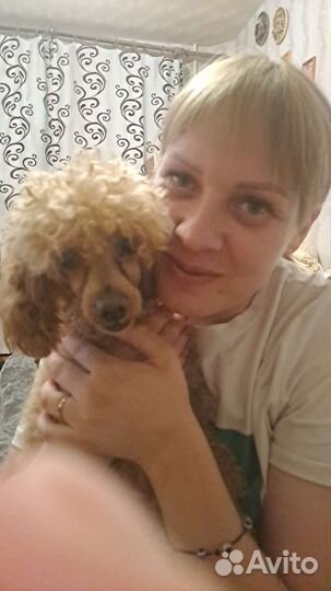 Передержка для животных