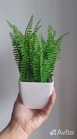 Трава в кашпо