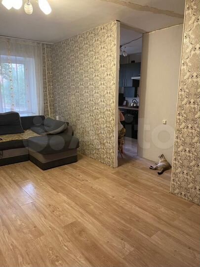 2-к. квартира, 250 м², 1/5 эт.