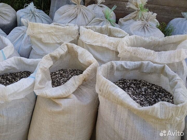 Лузга подсолнечника