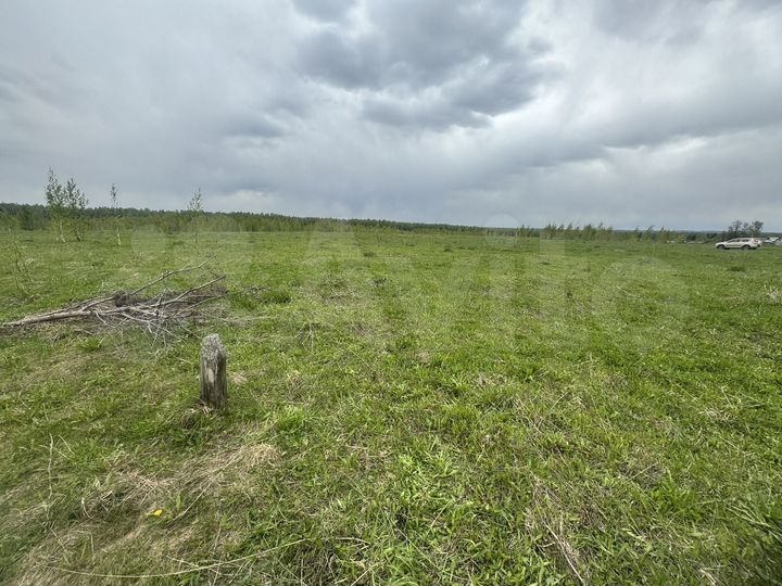 Участок 40 сот. (ИЖС)