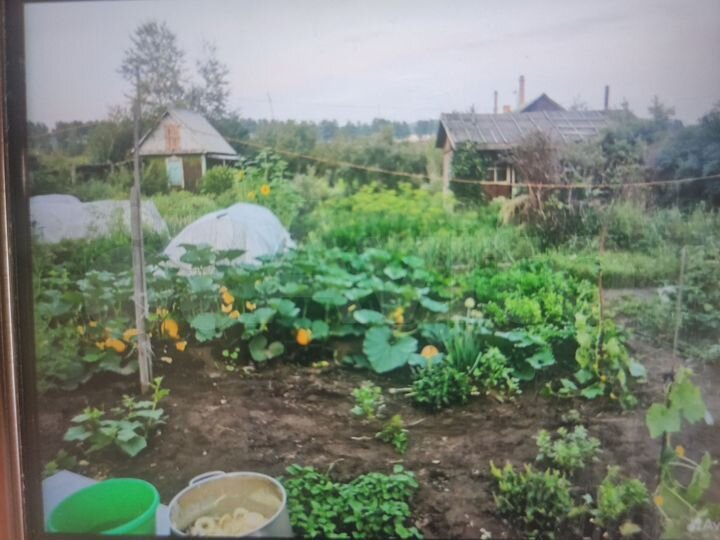 Дом 25 м² на участке 8 сот.