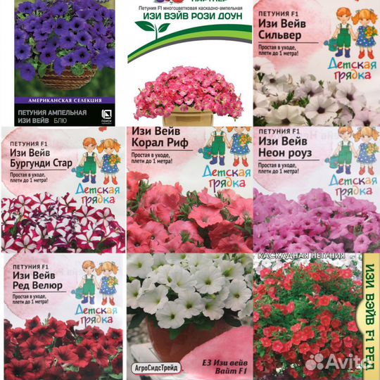 Рассада петунии