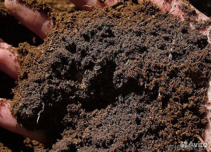 Торф от производителя