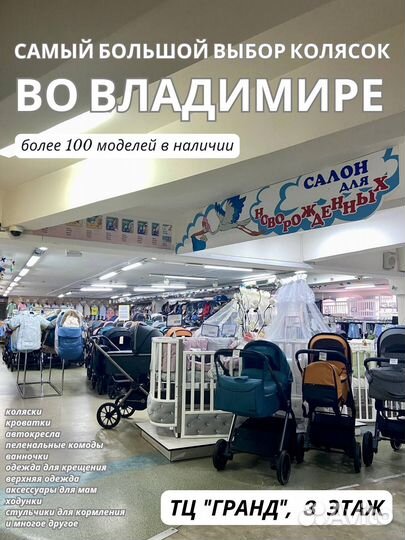 Коляска 2 в 1 Adamex Cortina