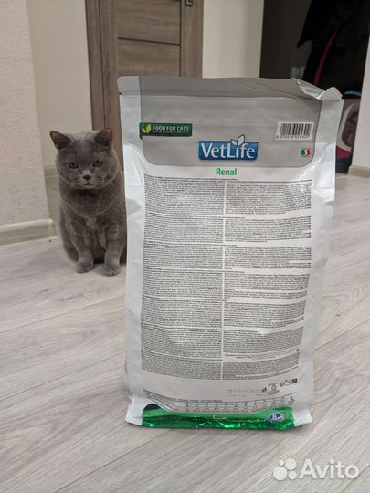 Корм для кошек Vet Life Renal 2 кг