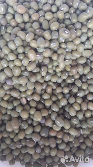 Зерносмесь для проращивания. Корм для попугаев