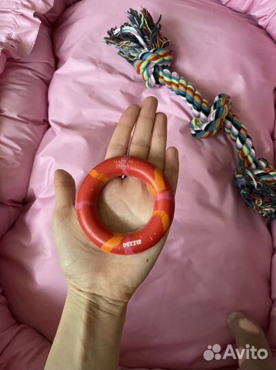 Одежда для собаки, игрушки