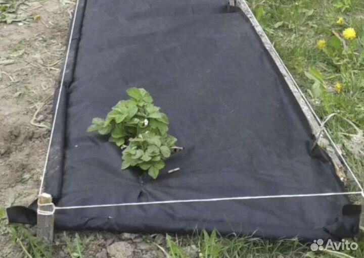 Укрывной материал / Агроспанбонд