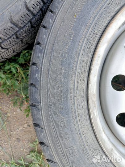 Goodyear Ice Navi Zea 175/70 R14