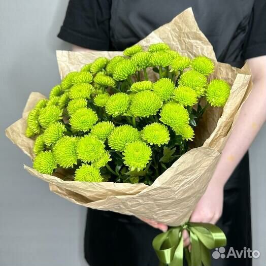 Хризантема грин