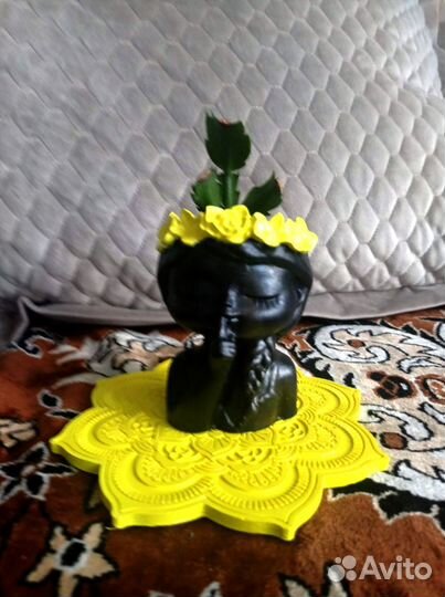 Сортовые декабристы