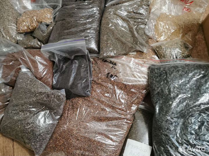 Семена для микрозелени