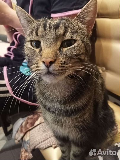 Настройка спутниковой антенны