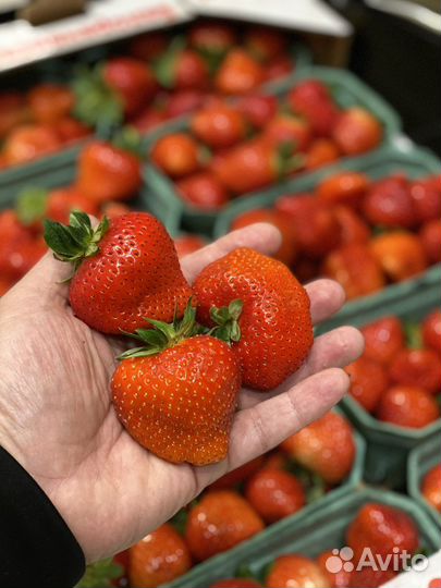 Клубника фермерская оптом заморозка