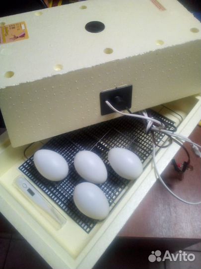 Инкубатор бытовой Золушка на 28 яиц с авт. перево