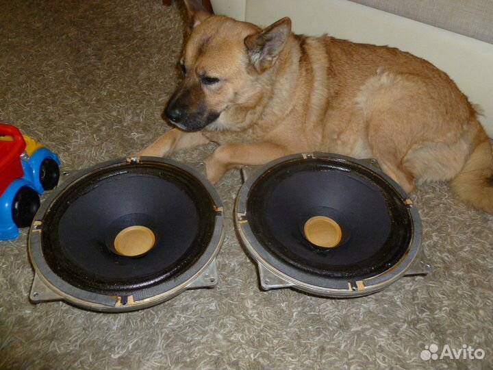 Ремонт динамиков и акустики со времен СССР