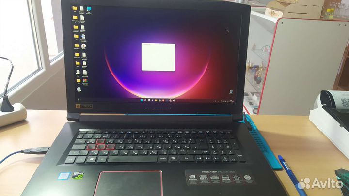 Acer predator