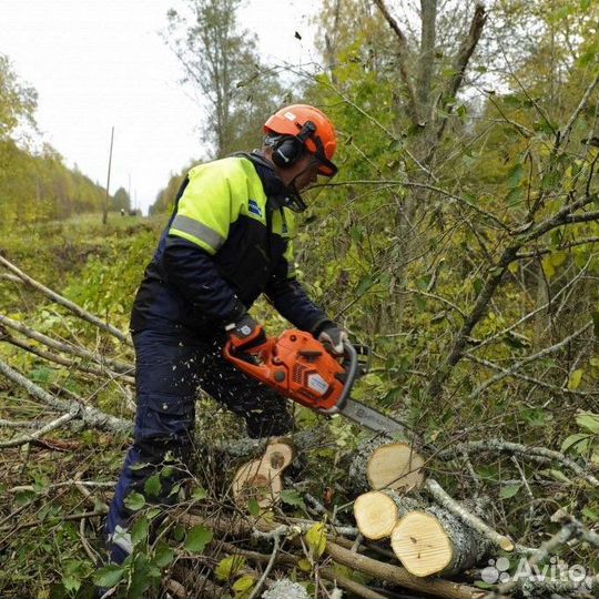 Расчистка участков, спил поросли, деревьев