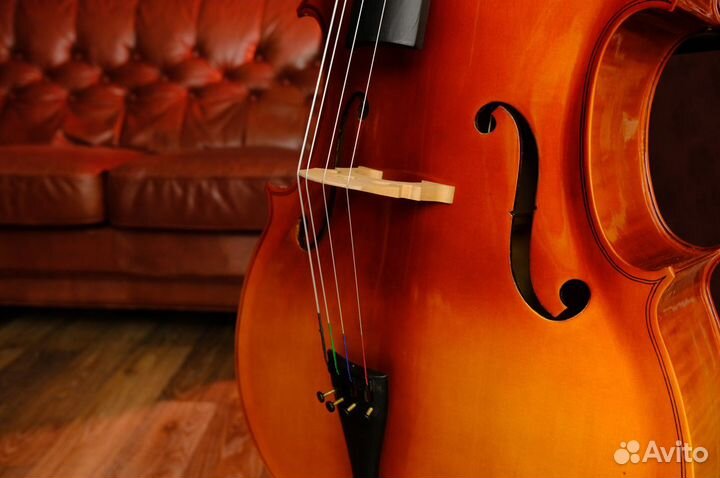 Виолончель 4/4 (Комплект)