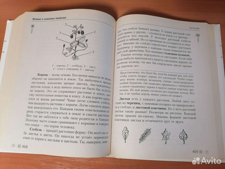 Справочник школьника 1-4 класс