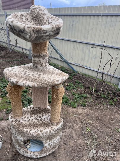 Кошачий Домик