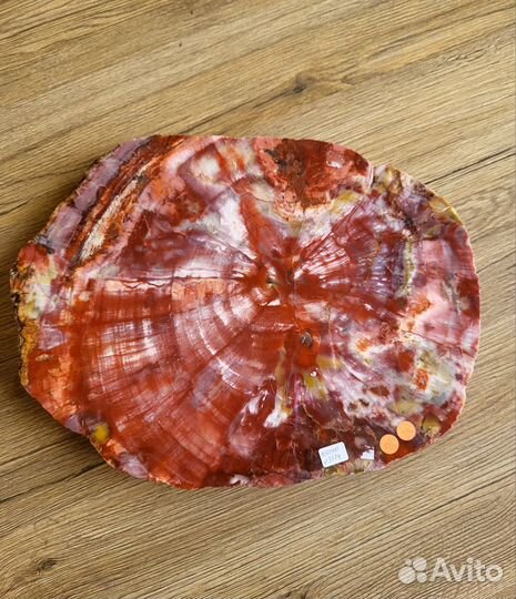 Окаменелое дерево