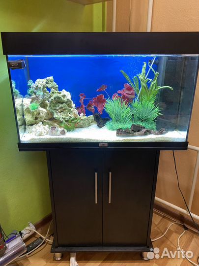 Аквариум Ювель Рио 125 с тумбой