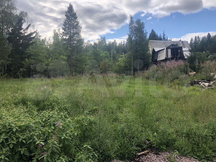 Участок 6 сот. (СНТ, ДНП)