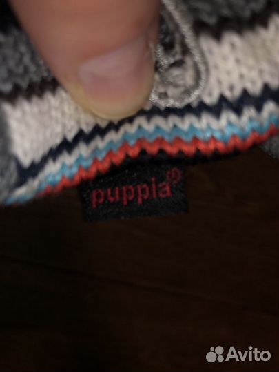 Шапка одежда для маленьких собак и кошек