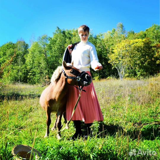 Конные прогулки и экскурсии